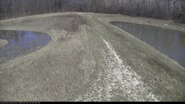 Cell 4 to Basin_24-03-24_14-44-08-50