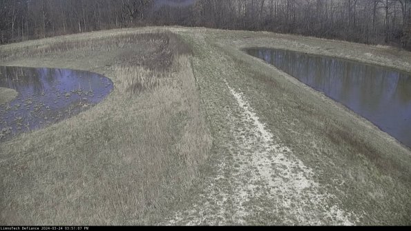 Cell 4 to Basin_24-03-24_15-51-07-50