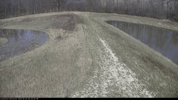 Cell 4 to Basin_24-03-24_16-24-36-52