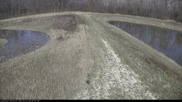 Cell 4 to Basin_24-03-24_16-58-06-54