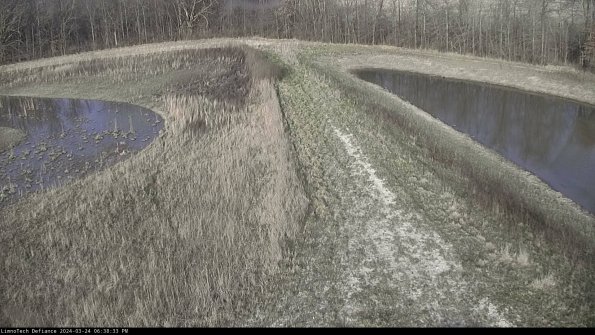 Cell 4 to Basin_24-03-24_18-38-33-52