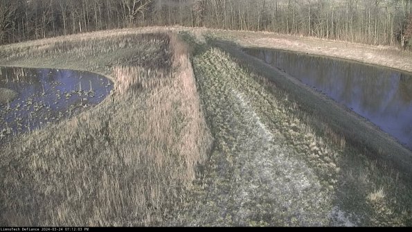 Cell 4 to Basin_24-03-24_19-12-03-50