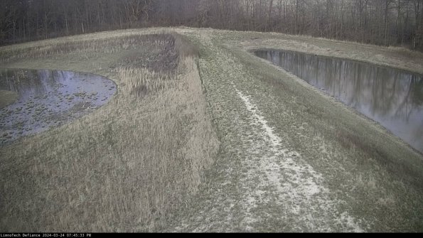 Cell 4 to Basin_24-03-24_19-45-33-52