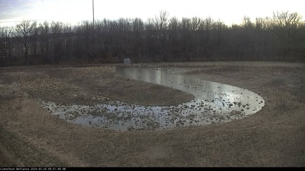 Cell 4_24-03-24_08-01-48-49