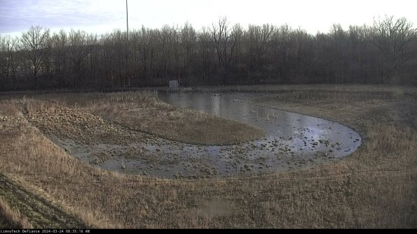 Cell 4_24-03-24_08-35-16-50