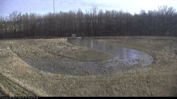 Cell 4_24-03-24_09-08-45-51