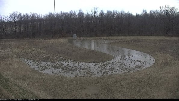 Cell 4_24-03-24_10-15-45-53