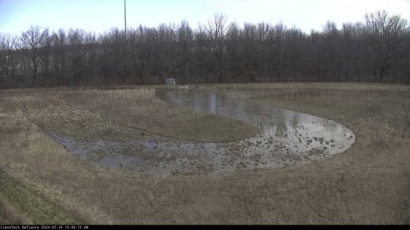 Cell 4_24-03-24_10-49-15-51