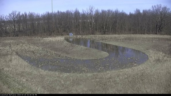 Cell 4_24-03-24_14-43-38-50