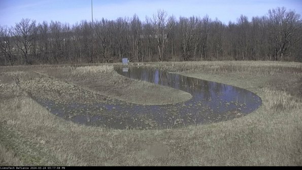 Cell 4_24-03-24_15-17-08-52