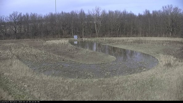 Cell 4_24-03-24_16-24-06-49