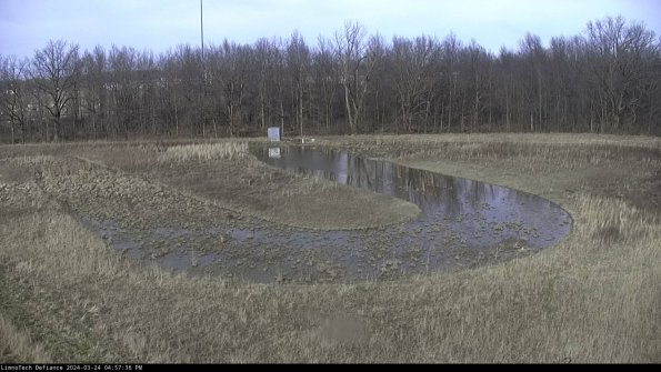 Cell 4_24-03-24_16-57-36-51