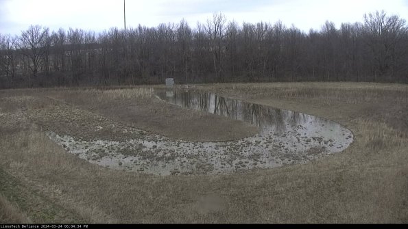 Cell 4_24-03-24_18-04-34-51