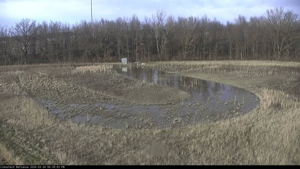 Cell 4_24-03-24_18-38-03-52