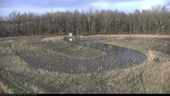 Cell 4_24-03-24_19-11-33-50