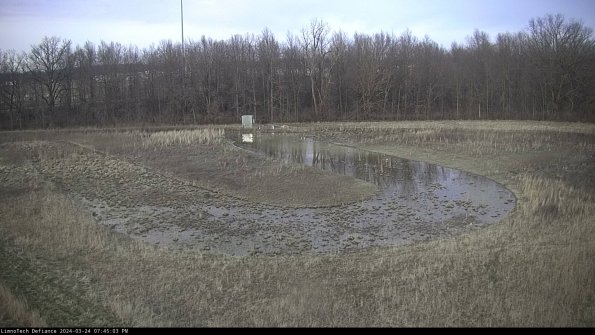 Cell 4_24-03-24_19-45-03-49