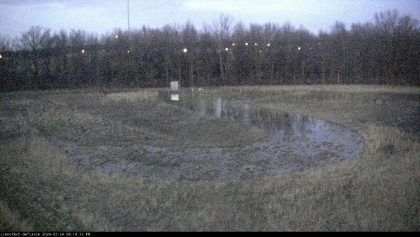 Cell 4_24-03-24_20-18-32-50