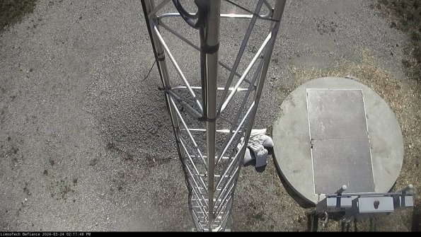 Hatch_24-03-24_14-11-48-51