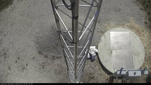 Hatch_24-03-24_14-45-18-50