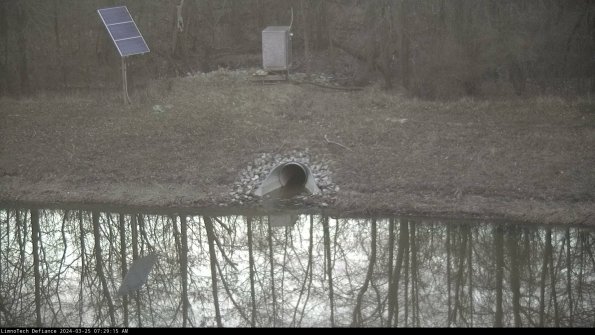 Basin Inflow_24-03-25_07-29-15-50