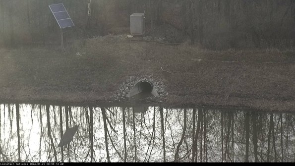 Basin Inflow_24-03-25_08-36-14-52