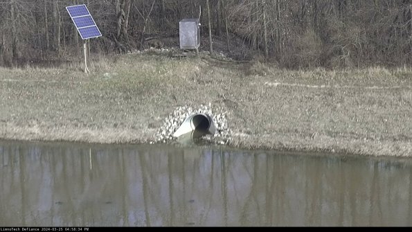 Basin Inflow_24-03-25_16-58-34-50