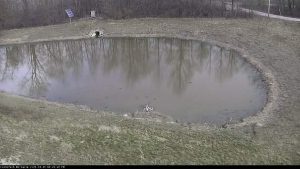 Basin Right_24-03-25_16-25-20-50