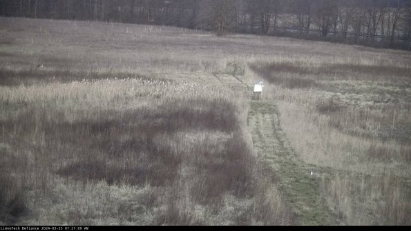 Cell 1 to 2_24-03-25_07-27-09-51