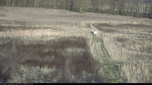 Cell 1 to 2_24-03-25_08-00-39-52