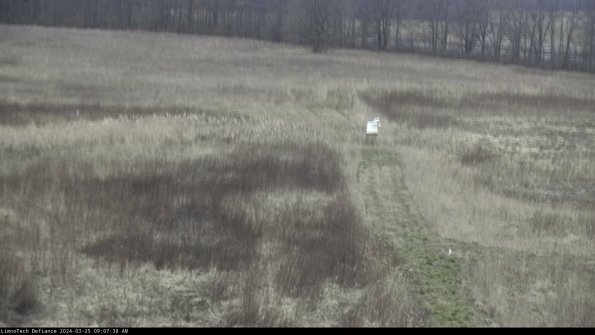 Cell 1 to 2_24-03-25_09-07-38-51