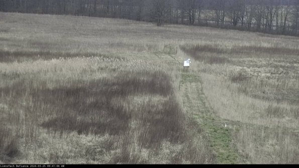 Cell 1 to 2_24-03-25_09-41-06-53