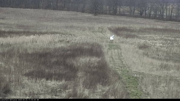 Cell 1 to 2_24-03-25_11-55-03-49