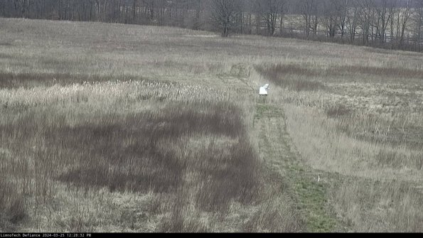 Cell 1 to 2_24-03-25_12-28-32-51