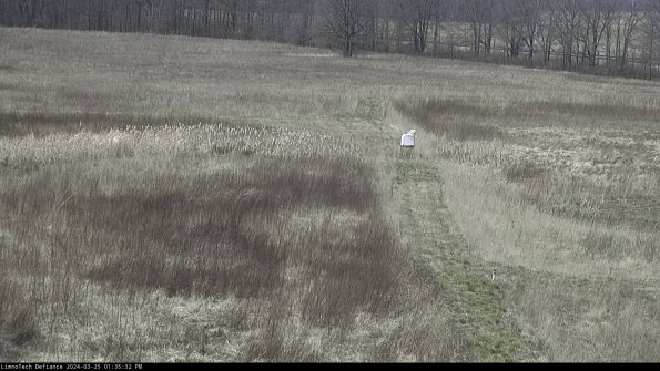 Cell 1 to 2_24-03-25_13-35-32-52