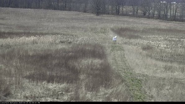 Cell 1 to 2_24-03-25_14-09-01-50