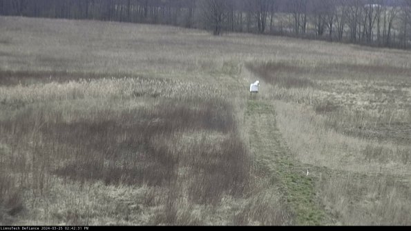 Cell 1 to 2_24-03-25_14-42-31-49