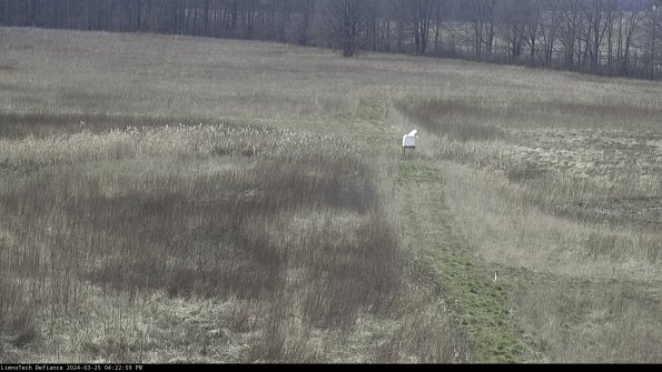 Cell 1 to 2_24-03-25_16-22-59-52