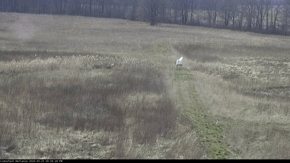 Cell 1 to 2_24-03-25_16-56-28-54