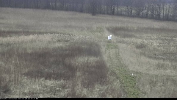 Cell 1 to 2_24-03-25_18-03-26-51