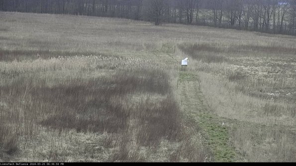 Cell 1 to 2_24-03-25_18-36-56-50