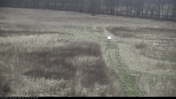 Cell 1 to 2_24-03-25_19-10-26-52