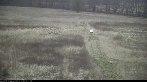 Cell 1 to 2_24-03-25_19-43-54-50