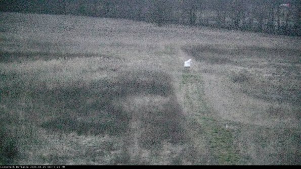 Cell 1 to 2_24-03-25_20-17-25-52