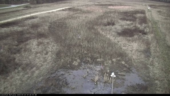 Cell 1_24-03-25_07-26-55-53