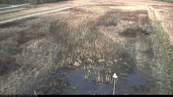 Cell 1_24-03-25_08-00-25-51