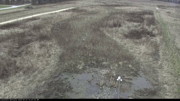 Cell 1_24-03-25_10-47-52-51