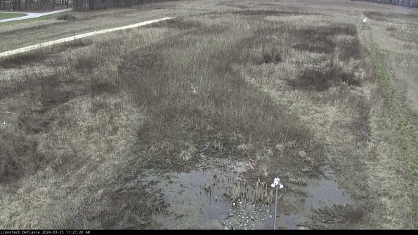 Cell 1_24-03-25_11-21-20-50