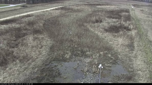 Cell 1_24-03-25_11-54-49-51