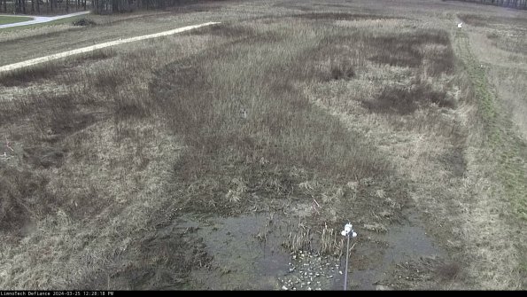 Cell 1_24-03-25_12-28-18-50