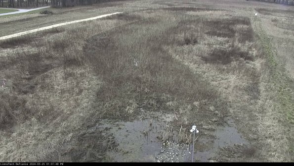 Cell 1_24-03-25_13-01-48-52